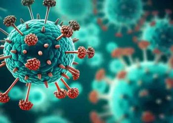 নতুন করে ছড়ানো এইচএমপি ভাইরাসে কতটা ঝুঁকিতে বাংলাদেশ?