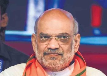 বিজেপি ক্ষমতায় এলে দিল্লিকে বাংলাদেশি-রোহিঙ্গামুক্ত করা হবে: অমিত শাহ