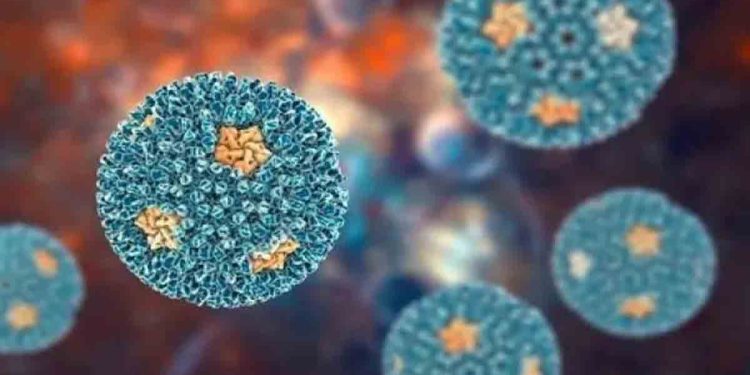 দেশে প্রথমবার ৫ জনের শরীরে রিওভাইরাস শনাক্ত