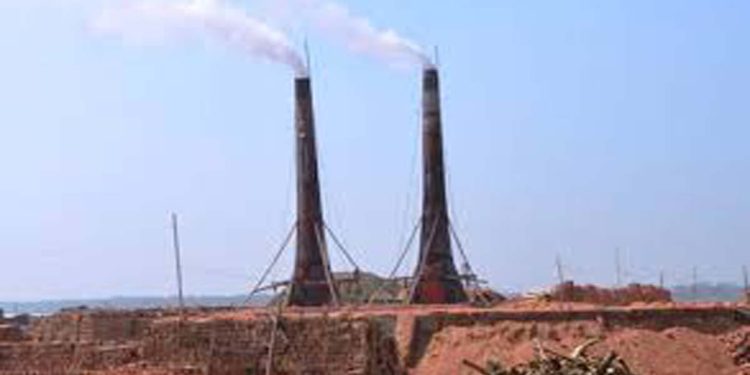 বীরগঞ্জে নিয়ম ভঙ্গ করে ফসলি জমিতে গড়ে উঠছে ইটভাটা