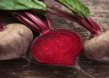 বিটরুট খেলে পাবেন এই ১০ উপকার