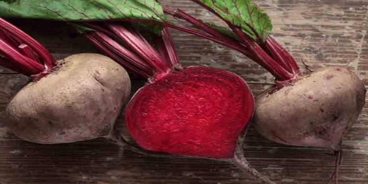 বিটরুট খেলে পাবেন এই ১০ উপকার