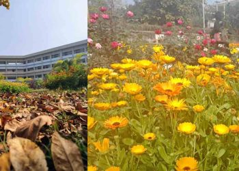 বসন্তের আমেজে মুখরিত রাবি প্রাঙ্গণ