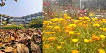 বসন্তের আমেজে মুখরিত রাবি প্রাঙ্গণ