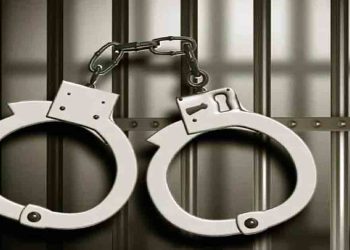 অপারেশন ডেভিল হান্ট-এর তৃতীয় দিন : গাজীপুরে আটক ৮১