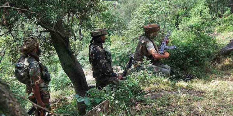 বন্দুকযুদ্ধে দুই সেনাসহ নিহত ৩৩