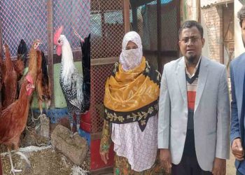 দেশী মুরগী পালনে সাবলম্বী হচ্ছেন এল ডি ডি পি প্রকল্প  পিজির  নারী সদস্যরা