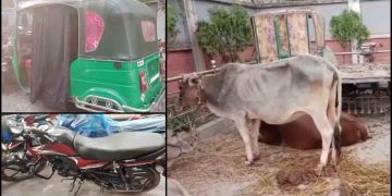 আন্তজেলা ডাকাত প্রধান কানু সহ ৩ ডাকাত আটক 