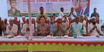 পাকিস্তানের প্রধানমন্ত্রী হওয়ার স্বপ্ন নিয়ে আত্মসমর্পণ করেছিলেন শেখ মুজিব : শাহিন শওকত