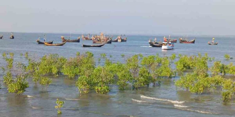 ট্রলারসহ বাংলাদেশি ৫৬ জেলেকে ধরে নিয়ে গেছে আরাকান আর্মি