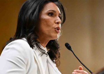 বাংলাদেশ নিয়ে তুলসী গ্যাবার্ডের মন্তব্য বিভ্রান্তিকর