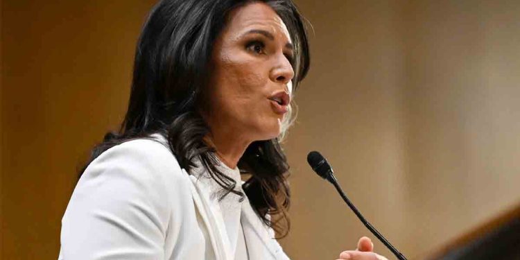 বাংলাদেশ নিয়ে তুলসী গ্যাবার্ডের মন্তব্য বিভ্রান্তিকর