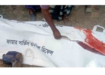 ট্রাকের চাকায় পিষ্ট হয়ে মোটর সাইকেল আরোহী নিহত 