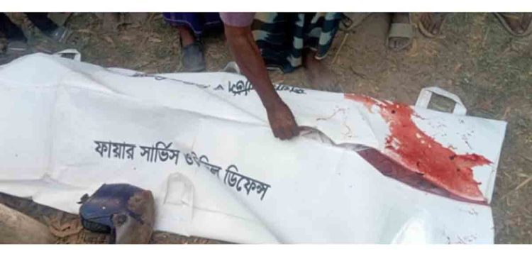 ট্রাকের চাকায় পিষ্ট হয়ে মোটর সাইকেল আরোহী নিহত 