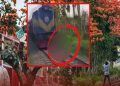 ট্রেনে কাটা পড়ে ফটোগ্রাফারের মৃত্যু, ভাইরাল হওয়া ছবি থেকে যা জানা গেল