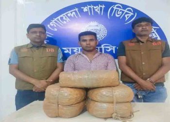 ভালুকায় ডিবির অভিযানে দশ কেজি গাঁজা সহ এক মাদক কারবারি গ্রেফতার