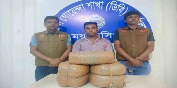 ভালুকায় ডিবির অভিযানে দশ কেজি গাঁজা সহ এক মাদক কারবারি গ্রেফতার