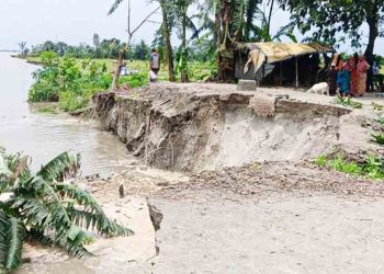 ব্রহ্মপুত্রের ভাঙনে ভিটা হারিয়ে নিঃস্ব মানুষ, উদাসীন পাউবো