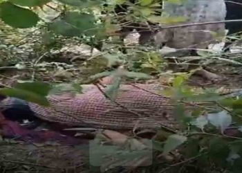 কমলনগরে নিখোঁজ নারীর মরদেহ উদ্ধার