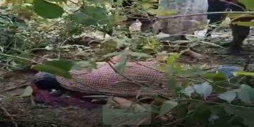 কমলনগরে নিখোঁজ নারীর মরদেহ উদ্ধার