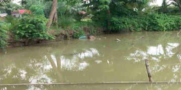 চাঁপাইনবাবগঞ্জে ভাসমান অবস্থায় পুকুর থেকে লাশ উদ্ধার 