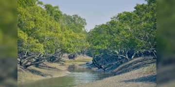 সুন্দরবনে প্রবেশে আজ থেকে তিন মাসের নিষেধাজ্ঞা