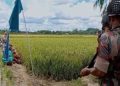 সীমান্তে ভারতীয় ড্রোন ও পুশইন আগ্রাসন, দ্বিপক্ষীয় চুক্তির সুস্পষ্ট লঙ্ঘন