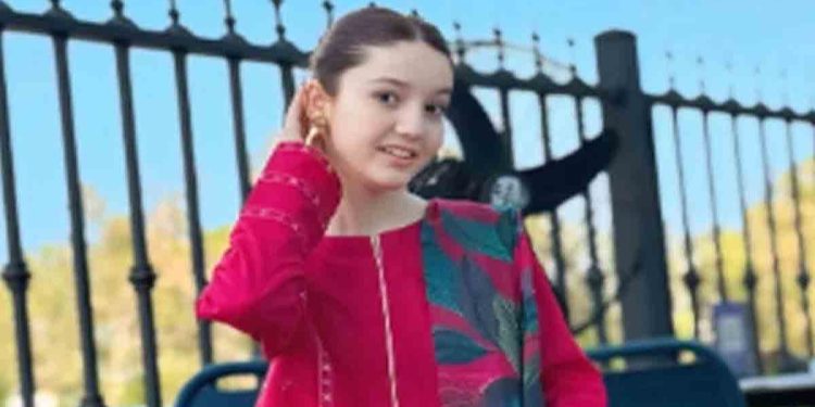 জনপ্রিয় টিকটকারকে গুলি করে হত্যা