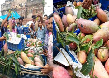কানসাট আমবাজারে থাই রূপবতী ‘চেং মাই’, দেখতে এসেছেন শত শত মানুষ 