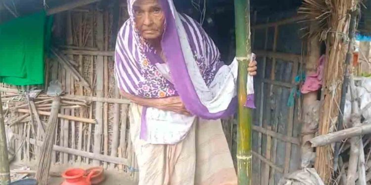 শেষ বয়সে এসেও ৬ সন্তানের জননী বেগম কে দেখার মতো নেই কেও