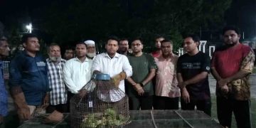 চাঁপাইনবাবগঞ্জে ৮০ টিয়া উড়ল মুক্ত আকাশে, দুই পাচারকারী জেল হাজতে