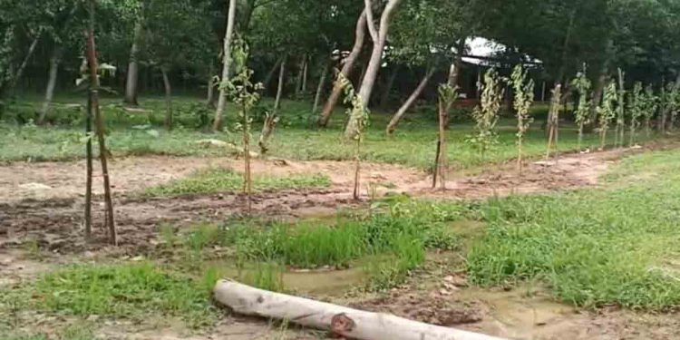 ভালুকায় শতাধিক মানুষের চলাচলের একমাত্র রাস্তা বন্ধ, দুর্ভোগে এলাকাবাসী