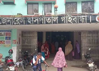 গাইবান্ধায় জমিতে ধানের চারা রোপন করতে গিয়ে মৃত্যুশয্যায় বাবা ছেলে ও মেয়ে 