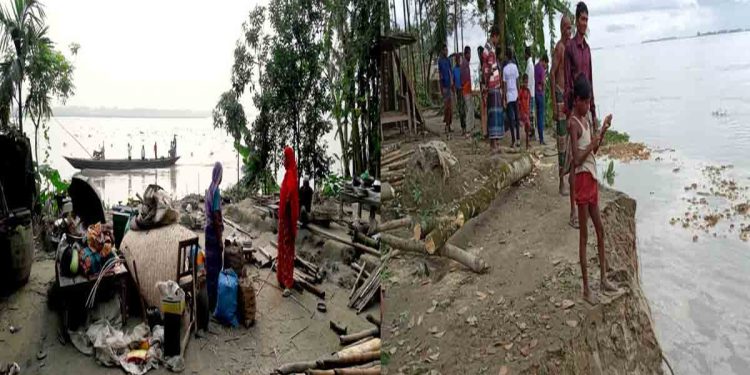 ব্রহ্মপুত্র ভাঙনে নিঃস্ব কুড়িগ্রামের শত শত পরিবার