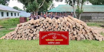 বাঘাইছড়িতে ৪ লাখ টাকার অবৈধ সেগুন গোলকাঠ আটক করেছে মারিশ্যা বিজিবি