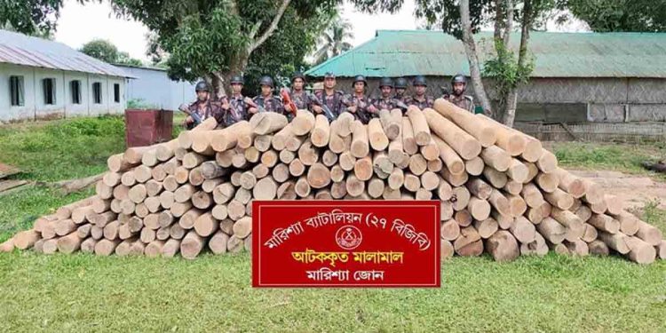 বাঘাইছড়িতে ৪ লাখ টাকার অবৈধ সেগুন গোলকাঠ আটক করেছে মারিশ্যা বিজিবি