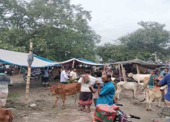শিবগঞ্জে সরকারি হাটে অবৈধ দখল, পশু ব্যবসা প্রায় বন্ধ