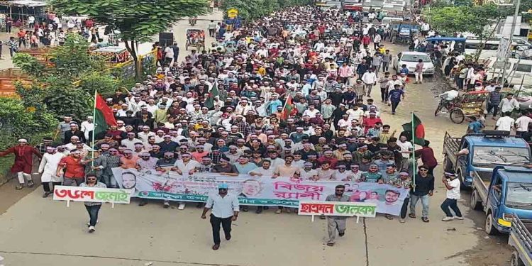 জুলাই গণঅভ্যুত্থান দিবসে ভালুকায় ছাত্রদলের বিজয় মিছিল, নেতৃত্বে আদি খান শাকিল