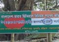 কুড়িগ্রামের বিলুপ্ত ছিটমহল দাসিয়ার ছড়ার ১০ বছর,  সতন্ত্র ইউনিয়ন দাবি এলাকাবাসীর