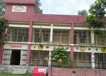 এক প্রাথমিক শিক্ষক আছেন আমেরিকায়, আর দেশে করেন চাকুরী