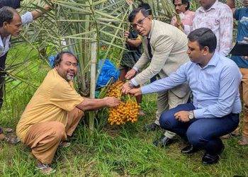 ভালুকায় সৌদির খেজুর বাগান করে জীবনের স্বপ্ন পূরণ মোতালেবের