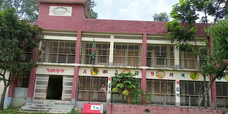 এক প্রাথমিক শিক্ষক আছেন আমেরিকায়, আর দেশে করেন চাকুরী