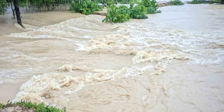 দেশের ১০ জেলায় বন্যার আভাস