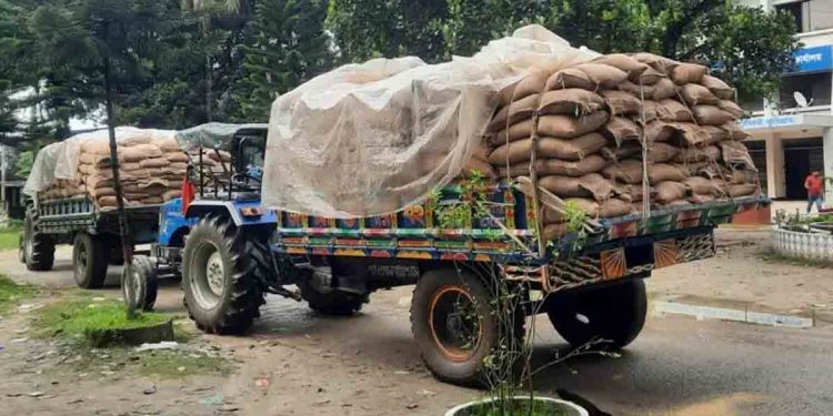 কুড়িগ্রামের রৌমারীতে জনতার হাতে আটক খাদ্যগুদামের ২ ট্রাক পচা চাল