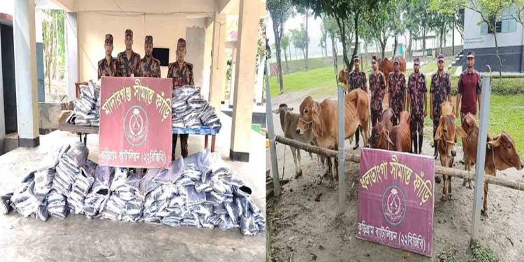 কুড়িগ্রামে বিজিবির অভিযানে ৬৮ লক্ষ টাকা মূল্যের ভারতীয় মালামাল আটক