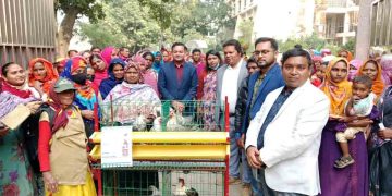 গোদাগাড়ীতে ১১০ সুবিধাবঞ্চিত পরিবারের মাঝে খাঁচা ও ফাউমি মুরগি বিতরণ