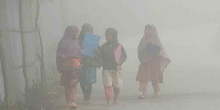 শীতের তীব্রতায় কুড়িগ্রামের জনপদ, তাপমাত্রা নেমেছে ১২ ডিগ্রিতে