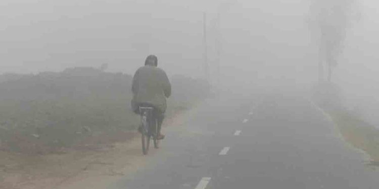 ঘন কুয়াশা, কনকনে ঠান্ডা আর হিমেল বাতাসে বিপর্যস্ত কুড়িগ্রামের জনজীবন