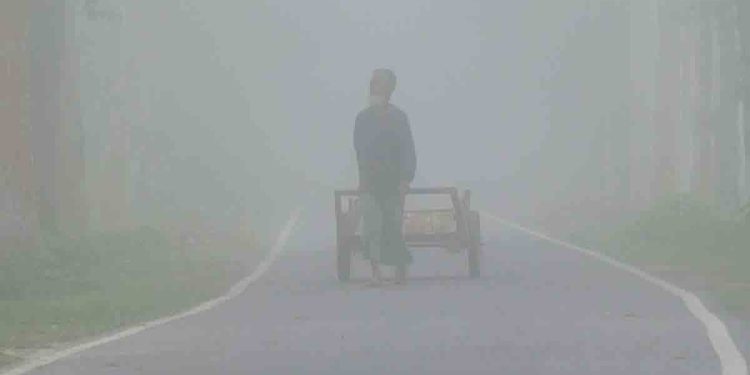 কুড়িগ্রাম শীতের তীব্রতা কমছেই না, তাপমাত্রা নেমেছে ১২.৭ ডিগ্রিতে