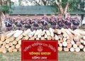 বাঘাইছড়িতে বিজিবির অভিযানে ২ লক্ষাধিক টাকার অবৈধ সেগুন কাঠ জব্দ